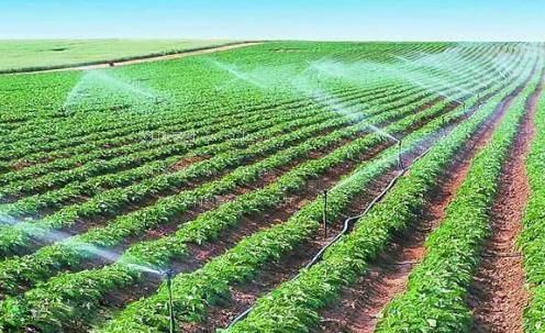 想看黄色视频操逼视频农田高 效节水灌溉